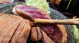 Mejores restaurantes en Akihabara