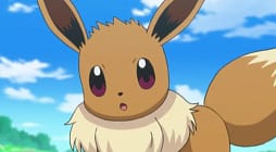 Eevee Pokemon